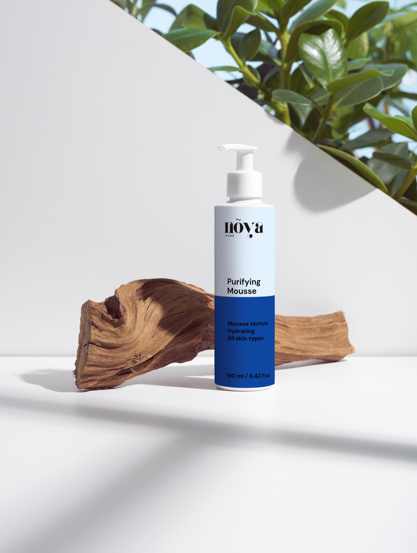 Purifying Mousse