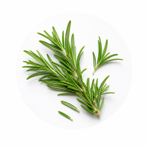 Rosemary Oil
